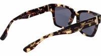 Brown Acetate Sunglasses 3